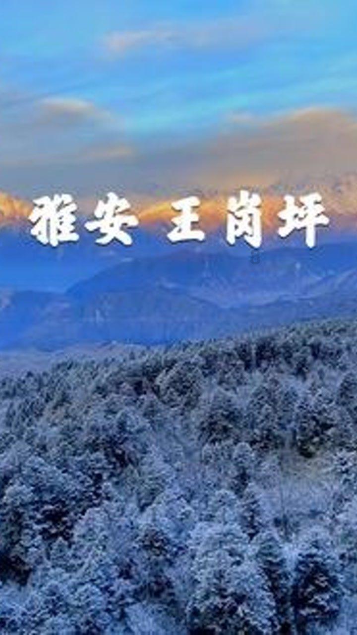 极限竞速地平线3