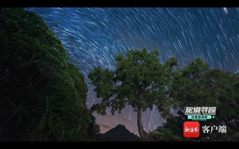 针织裙