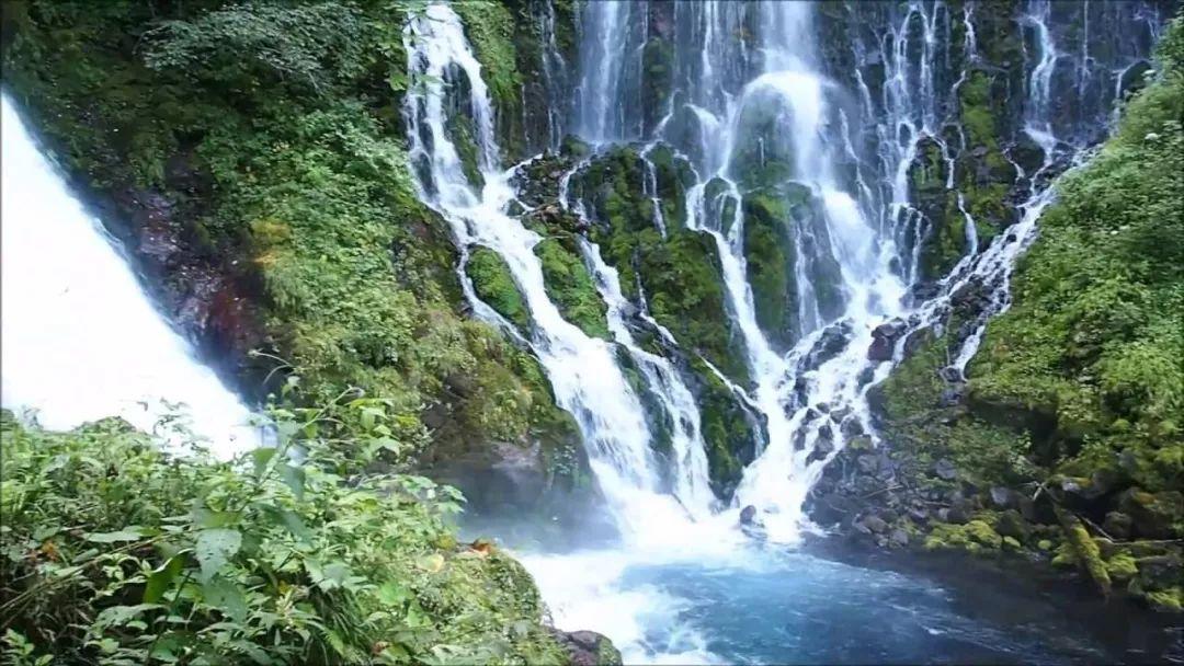 86岁北大老奶奶的人间清醒:独居,不抢救